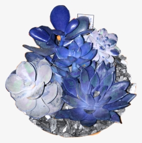 Cactus Blue Bluecactus Colors Dark Blueaesthetic Darkbl - Transparent Dark Blue Aesthetic Png, Png Download, Transparent PNG