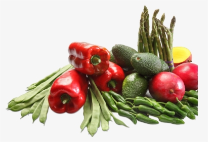 Mayoristas De Judia Verde Frutas Verduras Y Hortilizas - Chili Pepper, HD Png Download, Transparent PNG