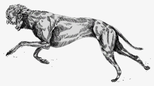 Greyhound Trait Hunt Showdown, HD Png Download, Transparent PNG