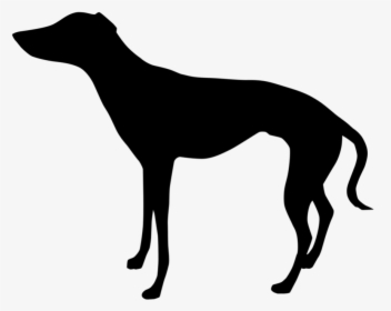Italian Greyhound Whippet Clip Art Silhouette - Horse Side View Silhouette, HD Png Download, Transparent PNG