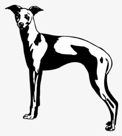 Decal Greyhound, HD Png Download, Transparent PNG