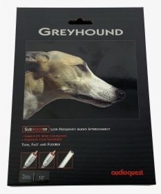 Greyhound, HD Png Download, Transparent PNG