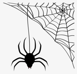 Spider, Network, Cobweb, Halloween, Silhouette, Black - Transparent Background Spider Web Clipart, HD Png Download, Transparent PNG
