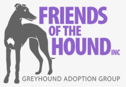Azawakh - Friends Of The Hounds, HD Png Download, Transparent PNG