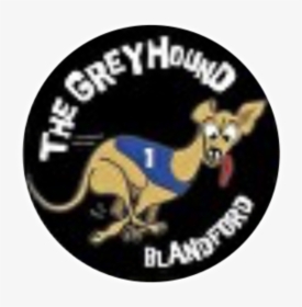 Greyhound Blandford - Coatimundi, HD Png Download, Transparent PNG
