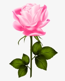 Pink With Stem Png - Purple Rose With Stem, Transparent Png, Transparent PNG