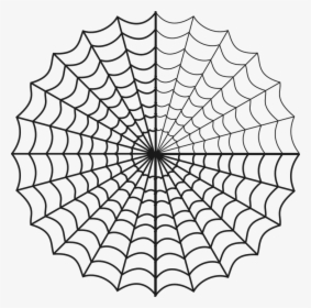 Transparent Free Spider Web Clipart - Big Spider Web Drawing, HD Png Download, Transparent PNG
