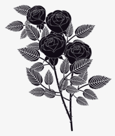 Plant,flora,leaf - Garden Roses, HD Png Download, Transparent PNG