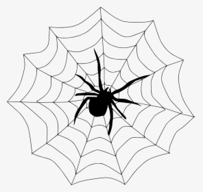Spiderweb Drawing Creepy - Spider On A Web Clipart, HD Png Download, Transparent PNG