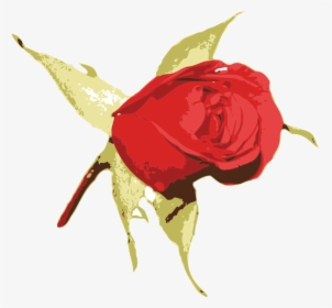 Plant,flower,leaf - Rose, HD Png Download, Transparent PNG