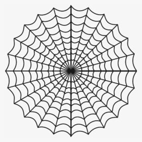 Spider Web Coloring Page, HD Png Download, Transparent PNG