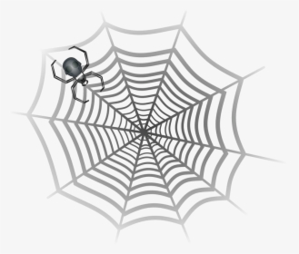 Araña, Telaraña, Tela De Araña, Web, Horror, Susto - Grey Spider Web Transparent, HD Png Download, Transparent PNG