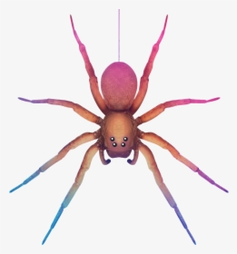 Pink Spider Transparent Clipart, HD Png Download, Transparent PNG