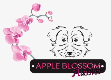 Apple Blossom Aussies - Companion Dog, HD Png Download, Transparent PNG