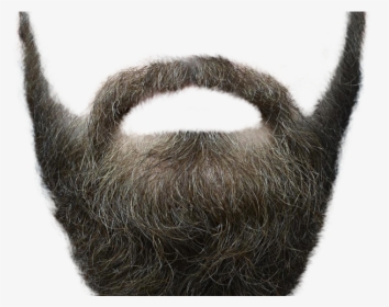 Moustache Png Transparent Images - Beard Png Transparent Background, Png Download, Transparent PNG