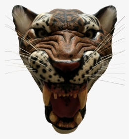 Transparent Saber Tooth Tiger Png - Tiger, Png Download, Transparent PNG