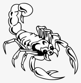Scorpio Tattoo Black And White, HD Png Download, Transparent PNG