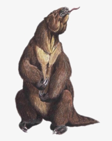 Giant Ground Sloth, HD Png Download, Transparent PNG