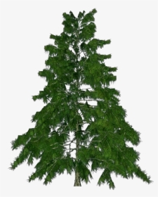 3d Trees - Himalayan Cedar - Acca Software - Albero Da Natale Offerta 150 Cm, HD Png Download, Transparent PNG