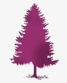 Cedar Tree Png Transparent Images - Evergreen Tree Silhouette, Png Download, Transparent PNG