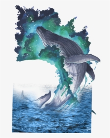 Transparent Kids Splashing Clipart - Whale Art Png, Png Download, Transparent PNG