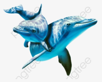 Marine Life Animal Png - Dolphins Under Water Transparent, Png Download, Transparent PNG