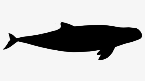 Black Irrawaddy Dolphin Clipart Png, Irrawaddy Dolphin - Whale, Transparent Png, Transparent PNG
