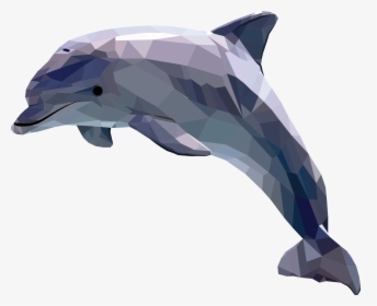 Geometry Art Dolphin, HD Png Download, Transparent PNG