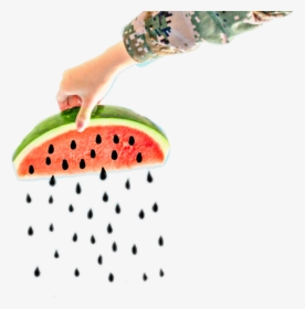 #hand #watermelon #seed #hand # - Seedless Fruit, HD Png Download, Transparent PNG