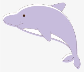 Dolphin Clipart Vector - Common Bottlenose Dolphin, HD Png Download, Transparent PNG