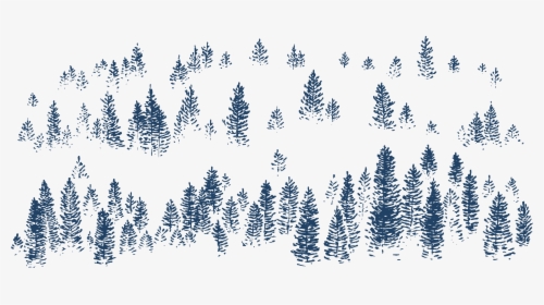 Sketch Forest Fog, HD Png Download, Transparent PNG