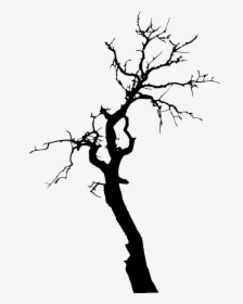 Transparent Background Tree Silhouette Png, Png Download, Transparent PNG