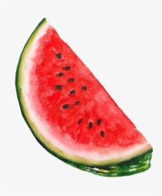 Watermelon Seed Png, Transparent Png, Transparent PNG