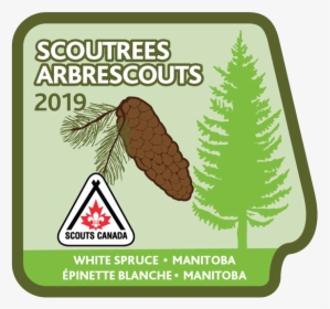 Scouts Canada, HD Png Download, Transparent PNG