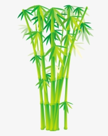 Vector Bamboo Free Download, HD Png Download, Transparent PNG
