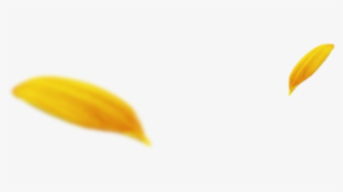 Petalos - Sunflower, HD Png Download, Transparent PNG