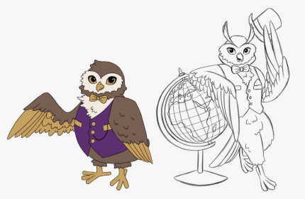 Vector And Sketch Illustratiuons Of Owl Character For - Cartoon, HD Png Download, Transparent PNG