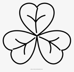 Shamrock Coloring Page - Snowflake Vector Thin Line, HD Png Download, Transparent PNG