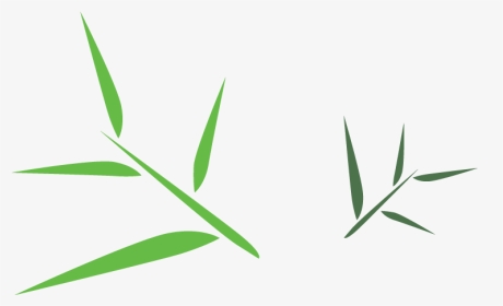 Bamboo Leaves Clipart - Transparent Background Bamboo Leaves Png, Png Download, Transparent PNG