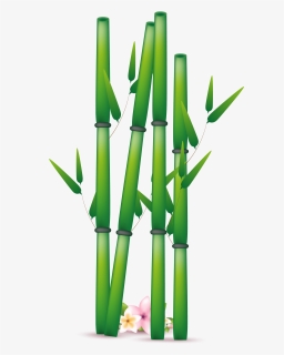 Png Transparent Free Images - Bamboo Leaf Bamboo Free Clipart, Png Download, Transparent PNG