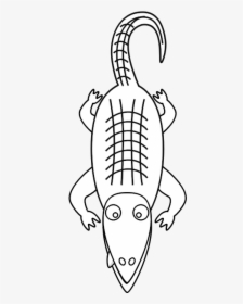 Alligator Line Art - Clipart Alligators Black And White, HD Png Download, Transparent PNG