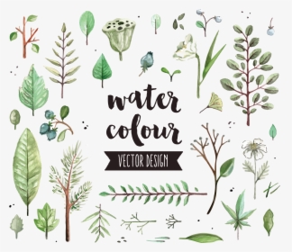 Watercolor Painting Icon Diagram - Watercolor Herbs Vector Free, HD Png Download, Transparent PNG