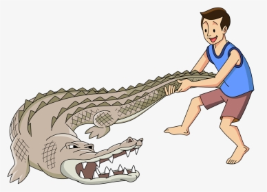 Transparent Cartoon Alligator Png - Alligators, Png Download, Transparent PNG
