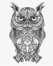 Body Owl Sketch Art Tattoo Drawing Clipart - Owl Drawing Tattoo, HD Png Download, Transparent PNG