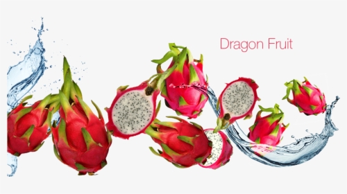 Transparent Dragon Fruit Png - Dragon Fruit Juice Png, Png Download, Transparent PNG