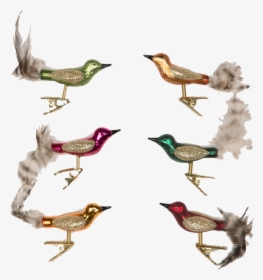 Sass And Belle Set Of 6 Clip On Glass Bird Decorations - Glass Bird Christmas Decoration Uk, HD Png Download, Transparent PNG