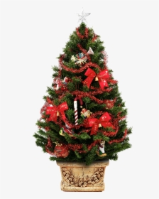 Clip Art Dinheiro Decorao Barata Fazer - Christmas Tree Overlay Free, HD Png Download, Transparent PNG