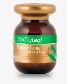 Slc High Lung - Spring Leaf Ginkgo Biloba, HD Png Download, Transparent PNG