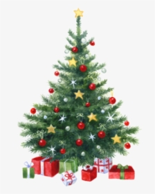 #arvore De Natal - Little Christmas Tree Png, Transparent Png, Transparent PNG