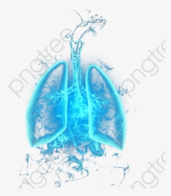 Sketch, HD Png Download, Transparent PNG
